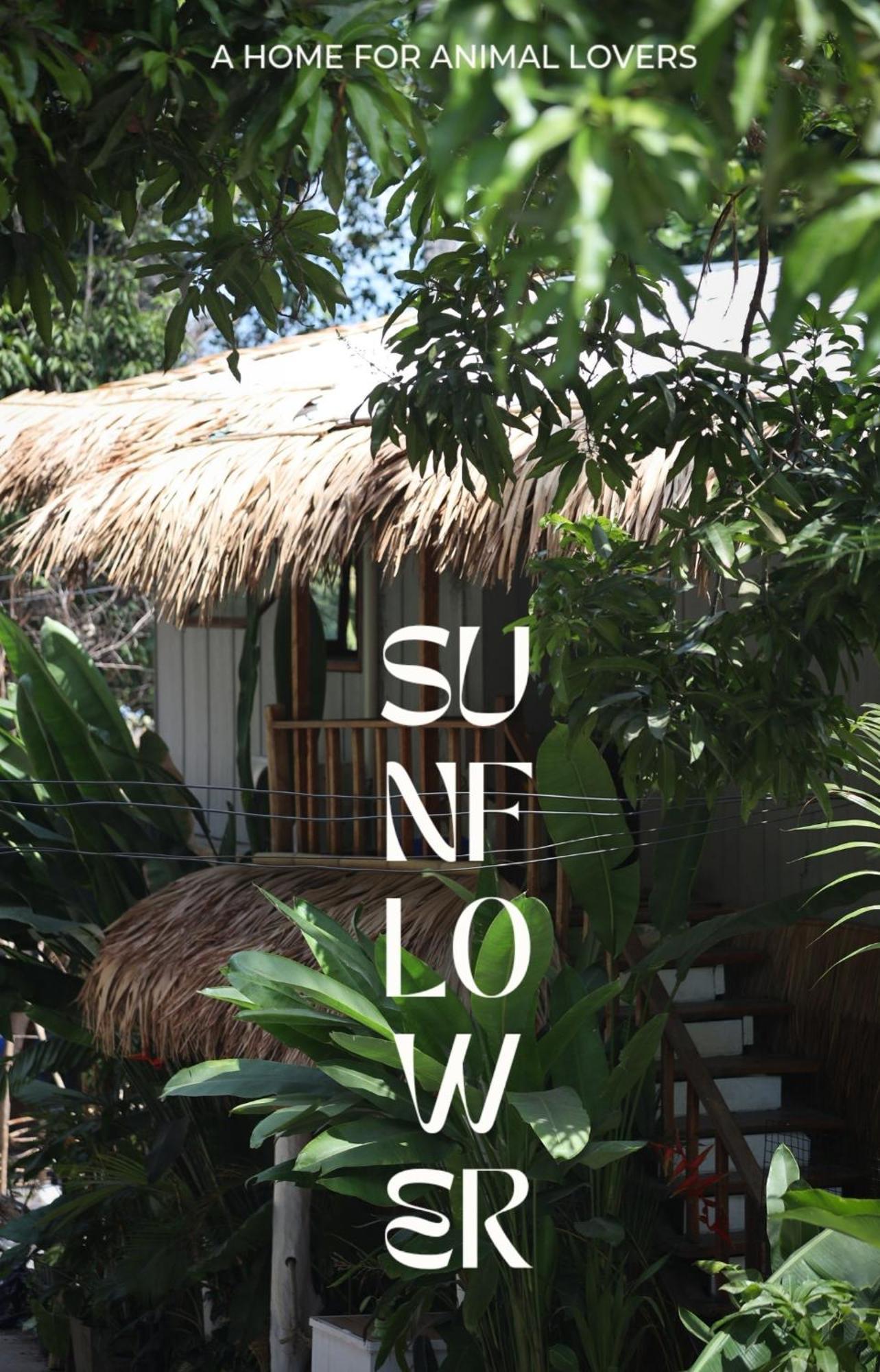 Sunflower Guesthouse And Animal Rescue - Koh Lipe Extérieur photo