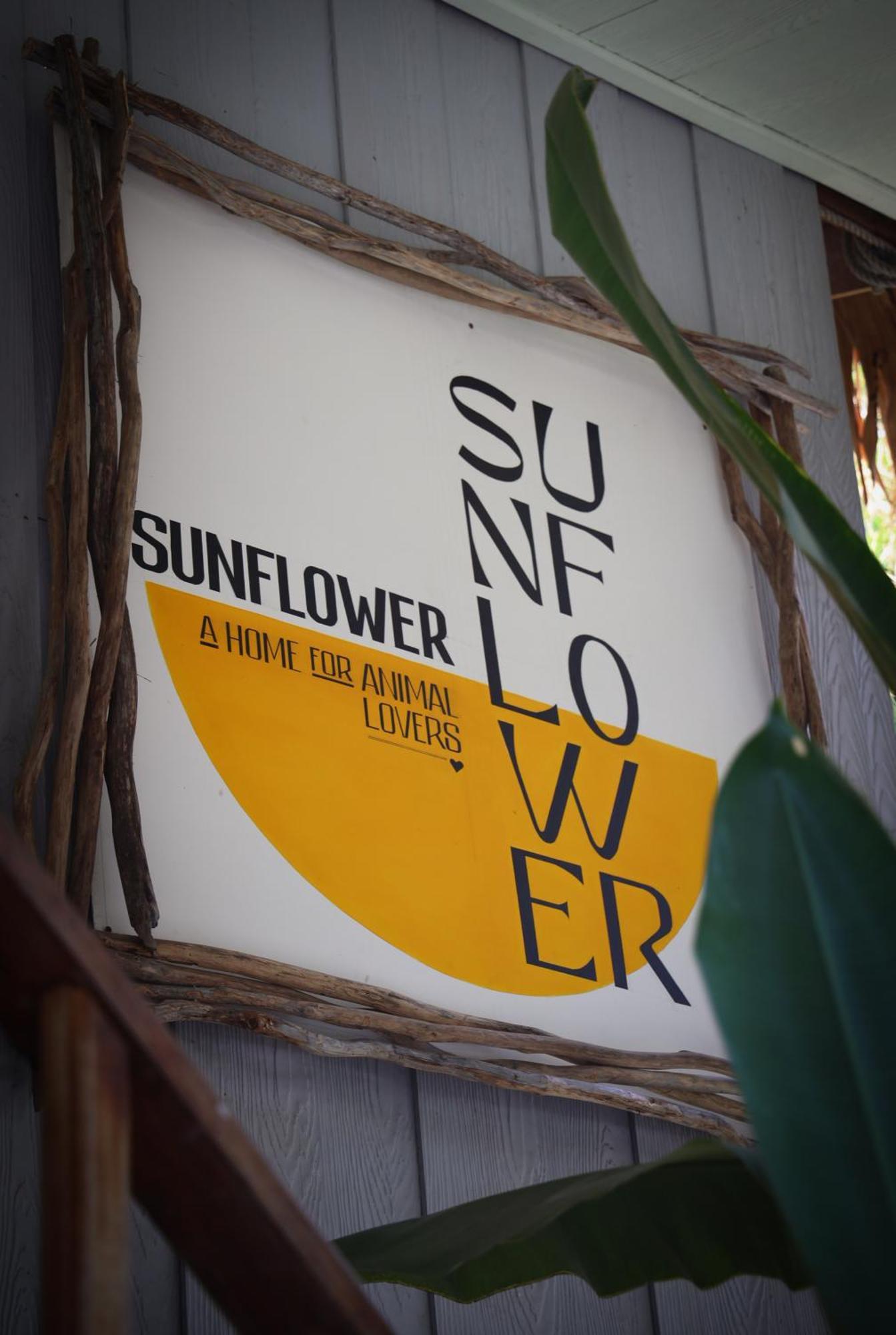 Sunflower Guesthouse And Animal Rescue - Koh Lipe Extérieur photo